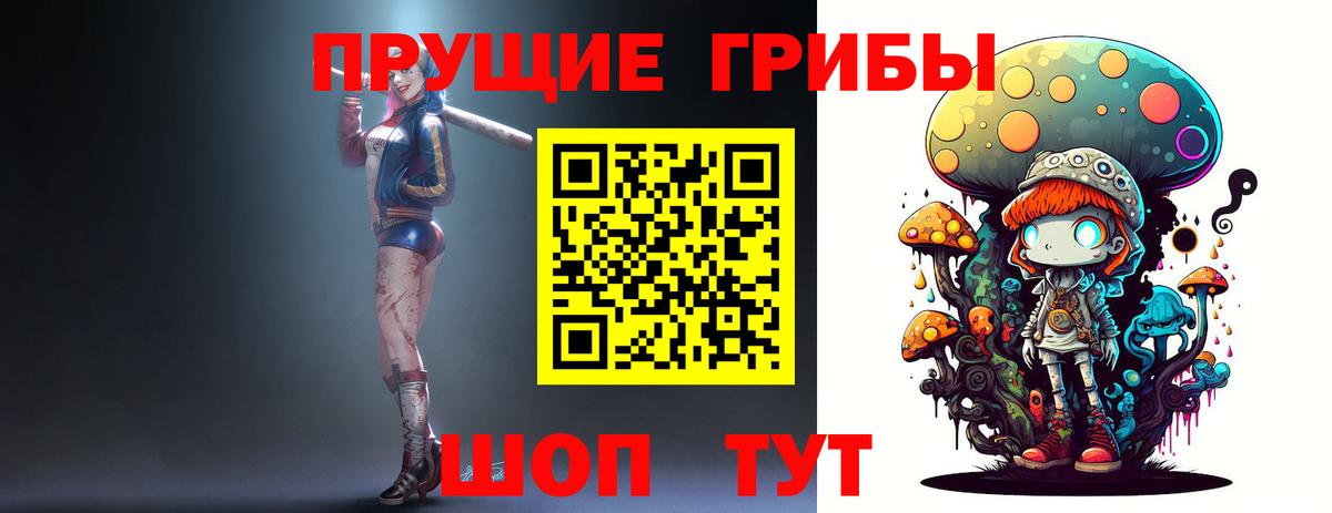 Псилоцибиновые грибы прущие грибы Псков